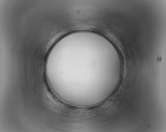 X0000112790107200908210948