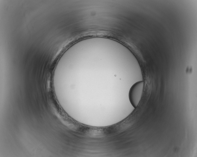 X0000112790110200908210948