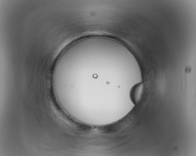 X0000112790111200908210948