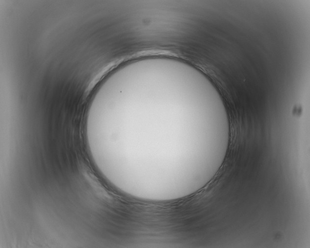 X0000112790112200908210948