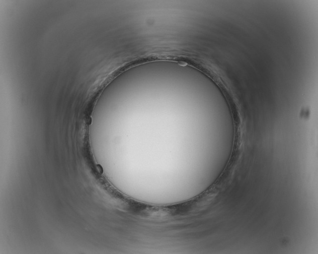 X0000112790113200908210948