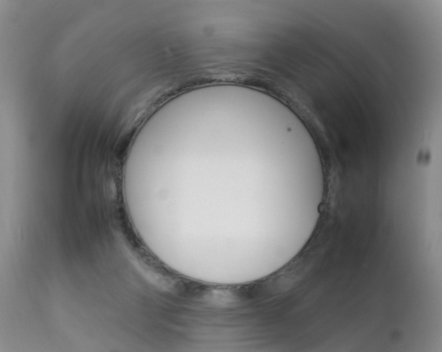 X0000112790114200908210948