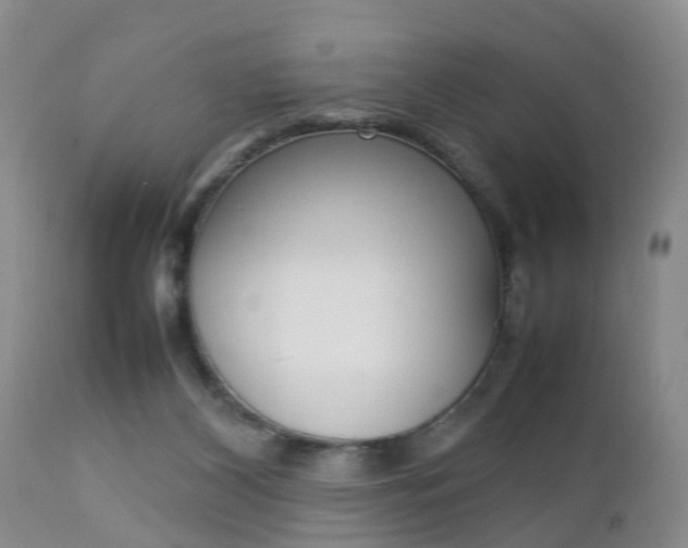 X0000112790116200908210948