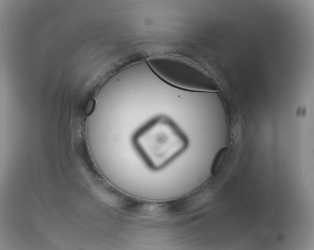 X0000112790117200908210948