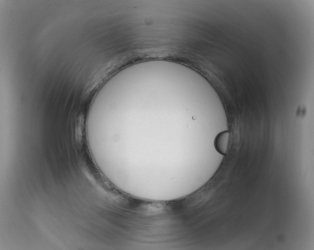 X0000112790118200908210948