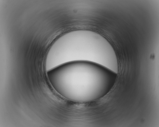 X0000112790120200908210948
