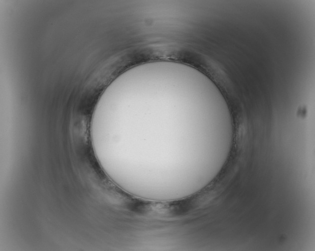X0000112790121200908210948