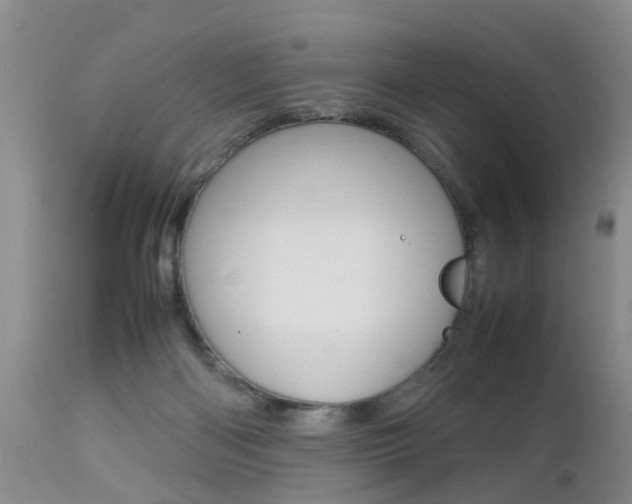 X0000112790122200908210948