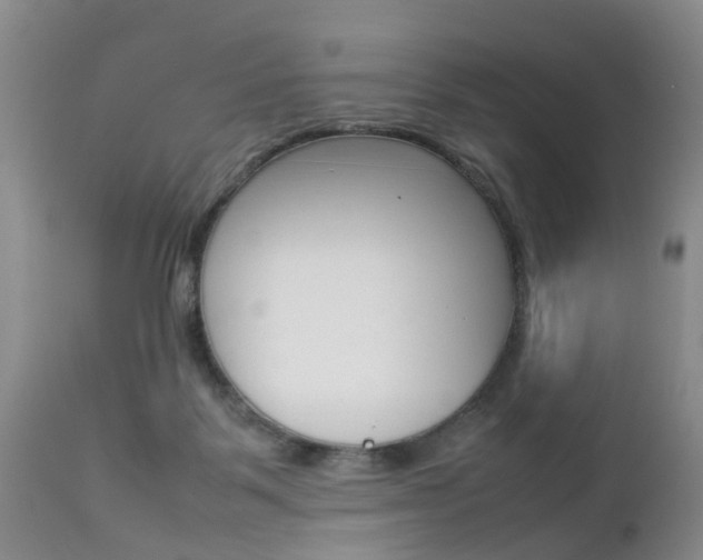 X0000112790123200908210948