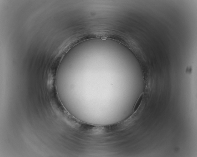 X0000112790124200908210948