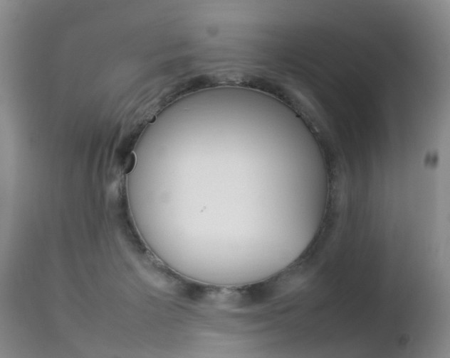 X0000112790125200908210948