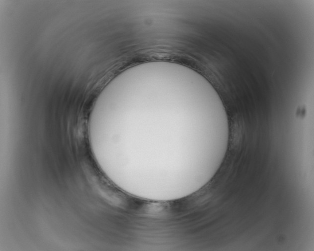 X0000112790126200908210948