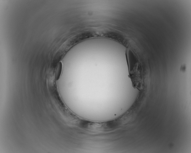 X0000112790129200908210948