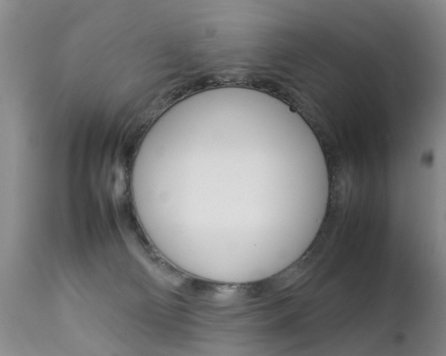 X0000112790130200908210948