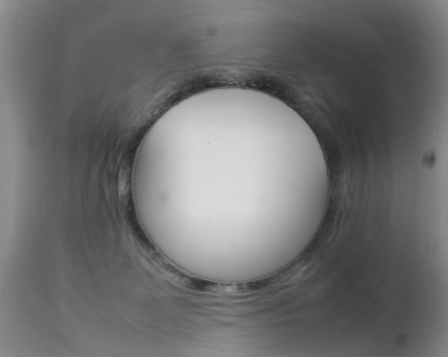 X0000112790131200908210948