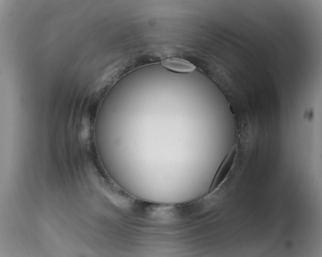 X0000112790132200908210948