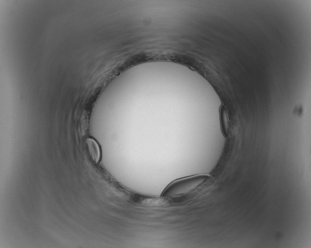 X0000112790133200908210948
