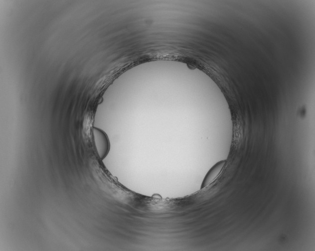 X0000112790142200908210948