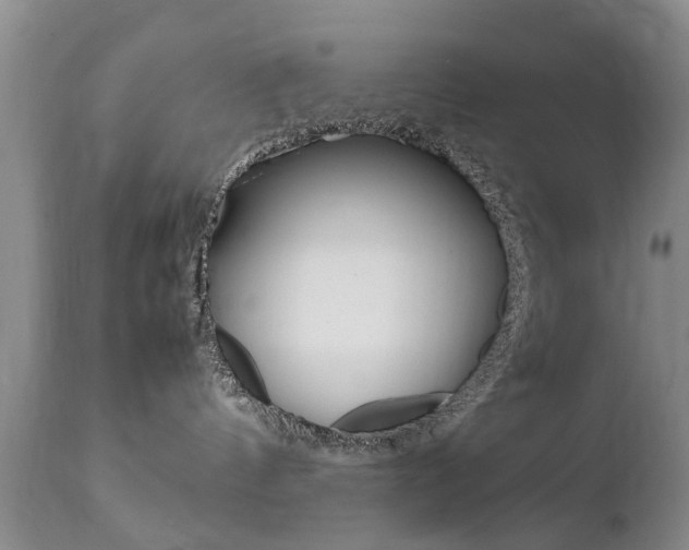 X0000112790144200908210948