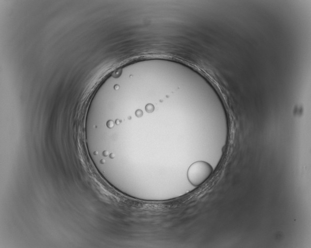 X0000112790145200908210947