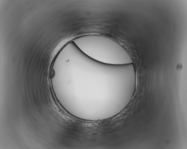 X0000112790147200908210947