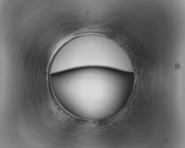 X0000112790148200908210947
