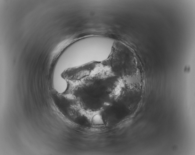 X0000112790149200908210947