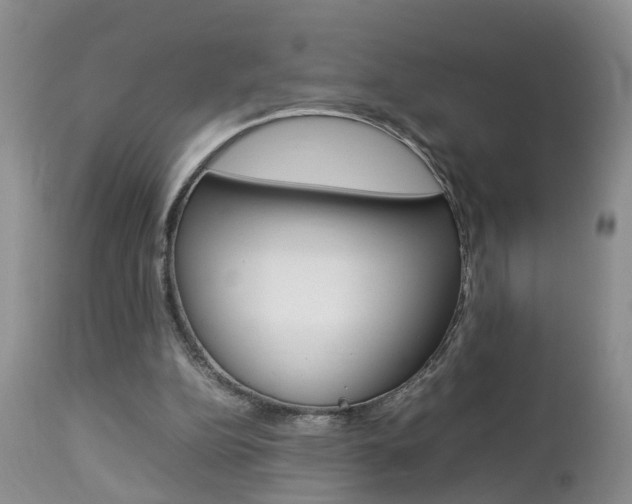 X0000112790152200908210947