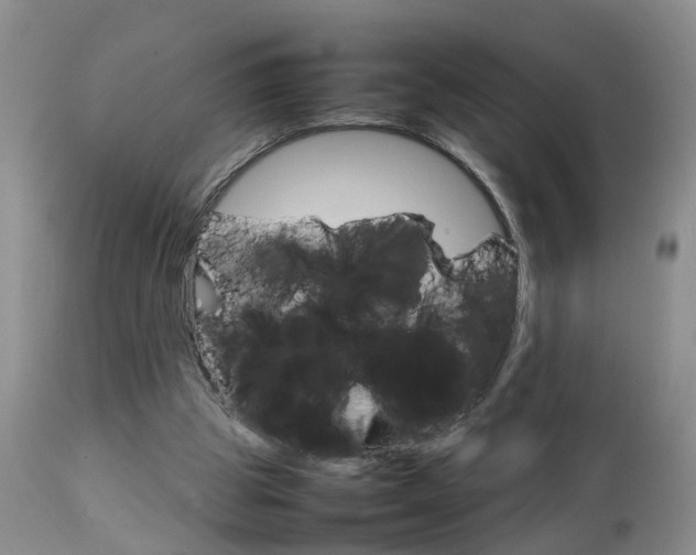 X0000112790153200908210947