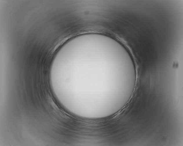 X0000112790154200908210947