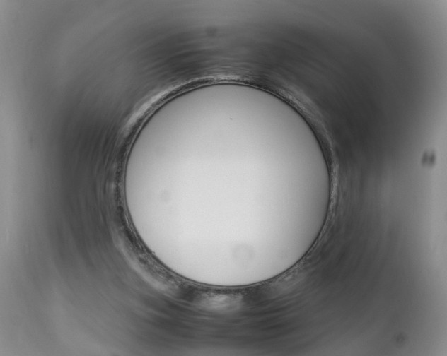 X0000112790155200908210947