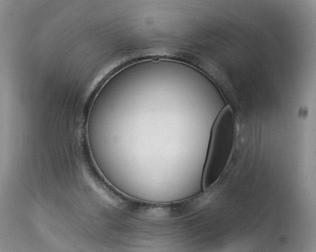 X0000112790156200908210947
