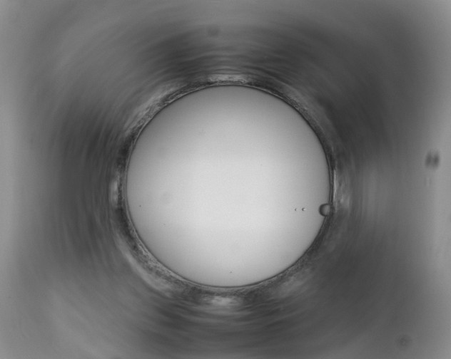 X0000112790157200908210947