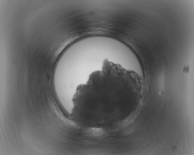 X0000112790159200908210947