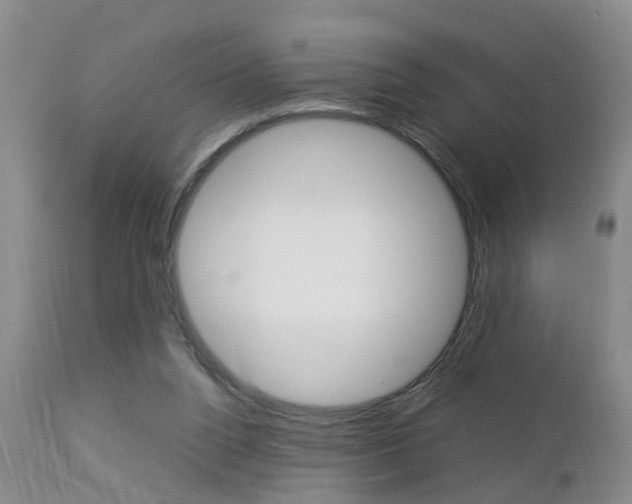 X0000112790160200908210947