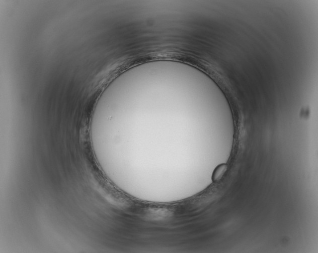 X0000112790161200908210947