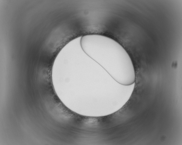 X0000112790162200908210947