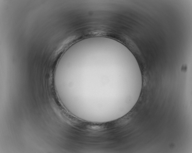 X0000112790163200908210947