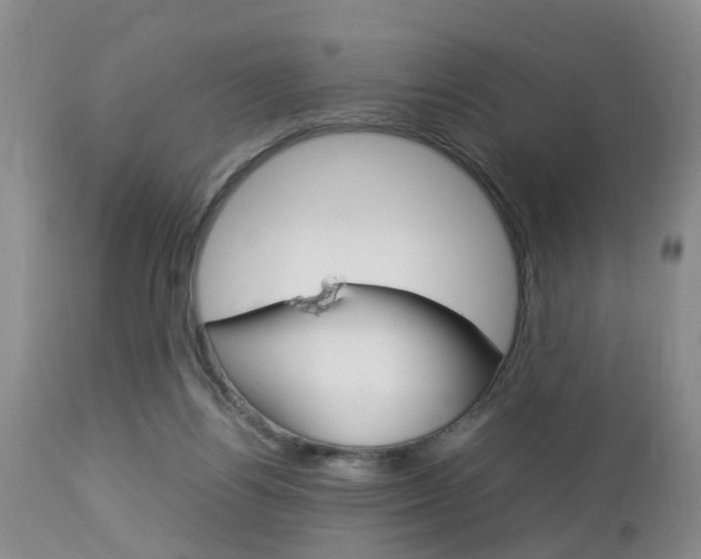 X0000112790164200908210947