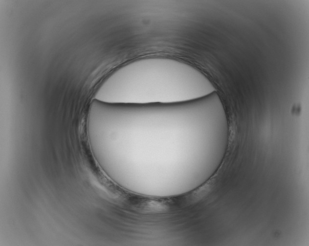 X0000112790166200908210947