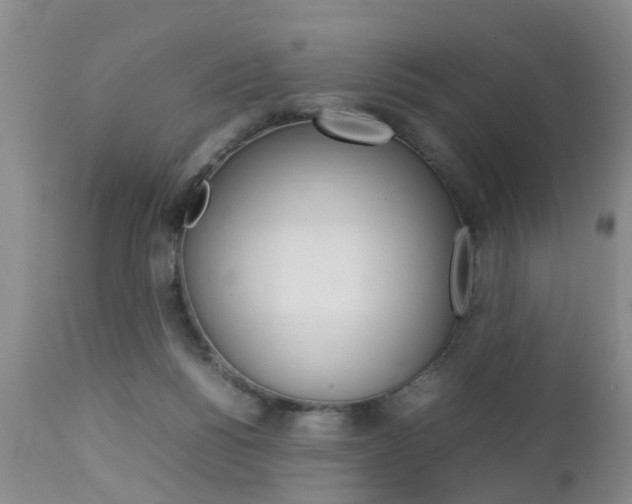 X0000112790168200908210947