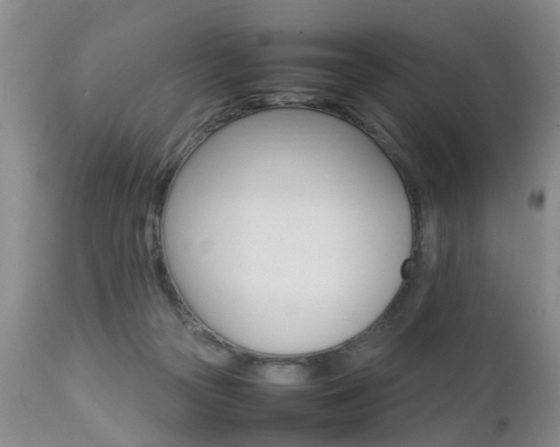 X0000112790169200908210947