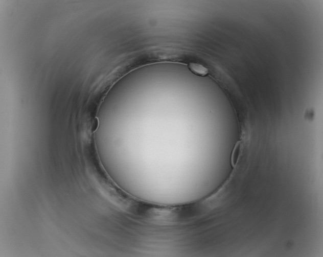 X0000112790170200908210947