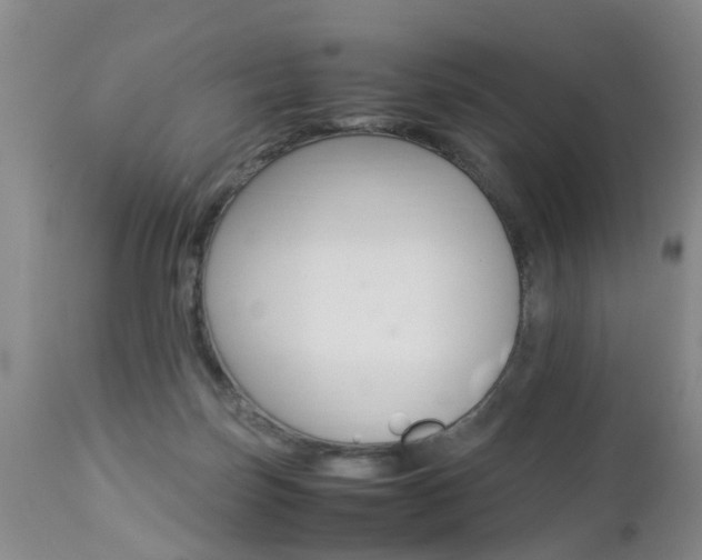 X0000112790171200908210947
