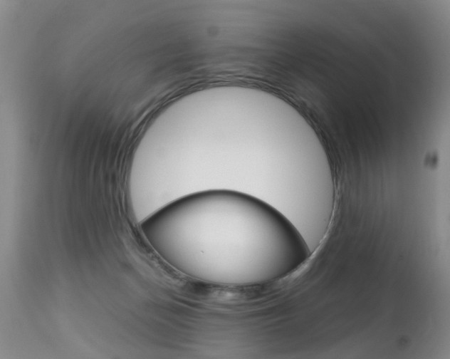 X0000112790174200908210947