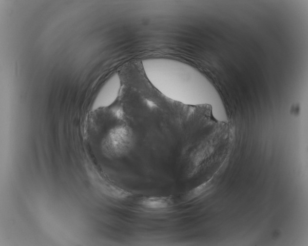 X0000112790175200908210947