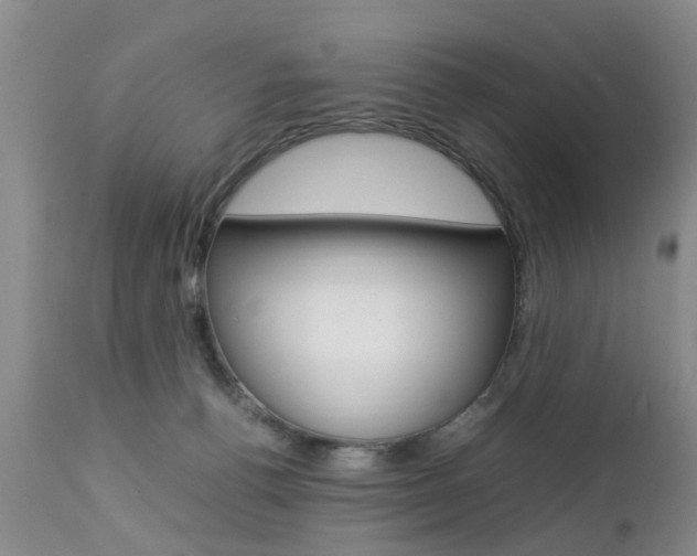X0000112790176200908210947