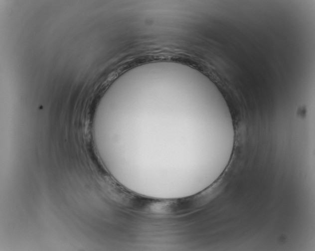 X0000112790178200908210947