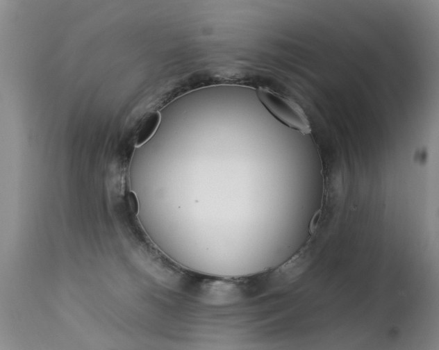 X0000112790180200908210948