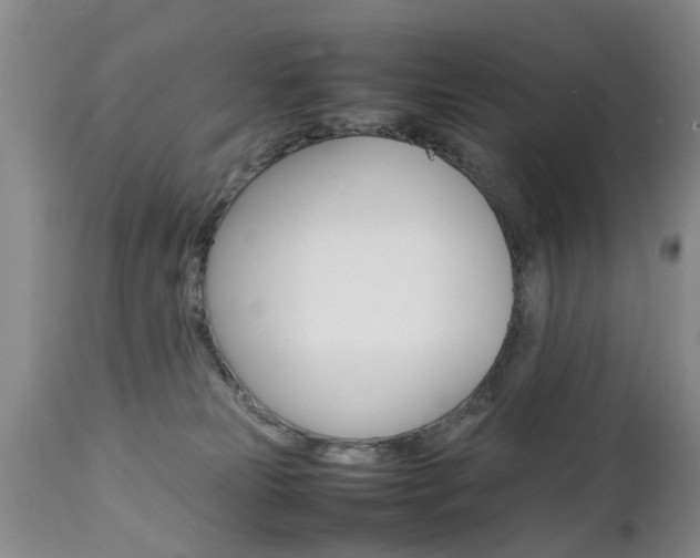 X0000112790181200908210948